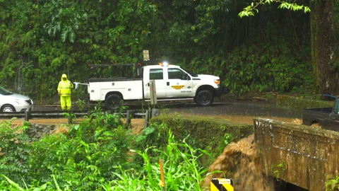 Maui Flood Fixed Stock-Footage 219579040