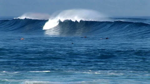 Maui hookipa3 動画素材 982503