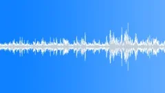 Maui Jungle Birds Light Sound Effect