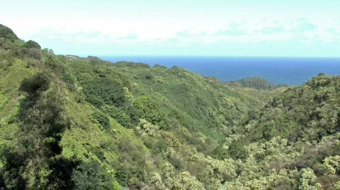 Maui mountain to ocean HD Stock Footage