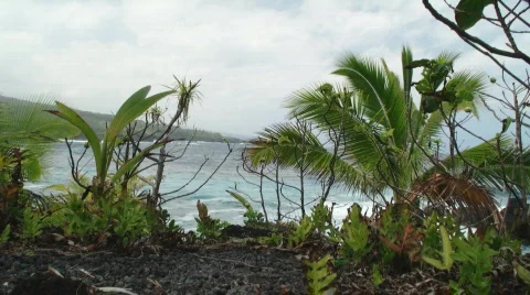 Maui Ocean Cliffside Stock Footage 687858