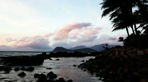 Maui at Sunset Video stock 10854465