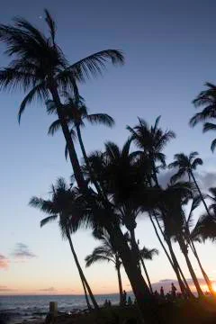Maui Sunset Stock Photos
