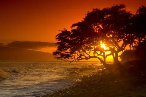 Maui Sunset Stock Photos