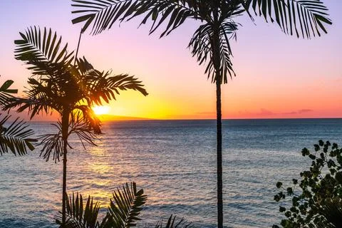 Maui Sunset Stock Photos