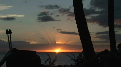 Maui Tropical Sunset Видео 338461