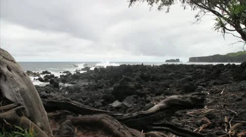 Maui volcanic beach Stock Footage 20590451