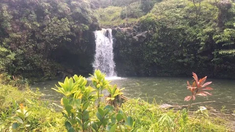 MAUI WATERFALL 01 Stock Footage 96544842