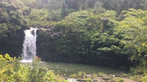 MAUI WATERFALL 02 Stock Footage 96544819