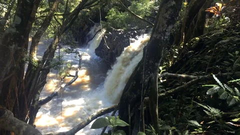 MAUI WATERFALL 03 Stock Footage 96544724