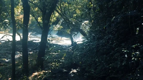 MAUI WATERFALL 04 Stock Footage 96544718