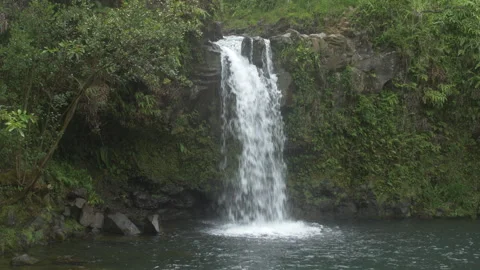 Maui Waterfall 60fps UHD 스톡 동영상 284888871