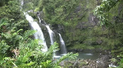 Maui Waterfall Stock-Footage 12579893