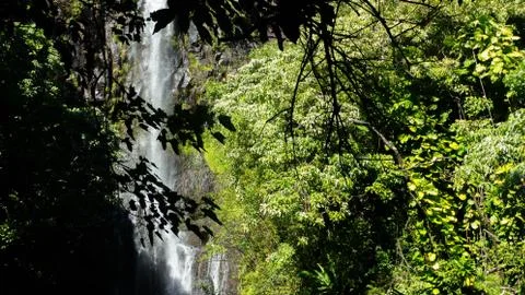 Maui Waterfall Stock Photos