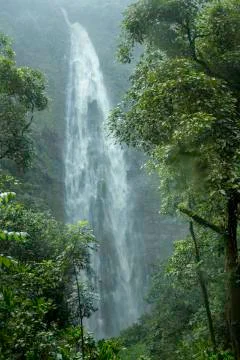 Maui Waterfall Stock Photos