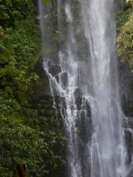 Maui Waterfall Stock Photos