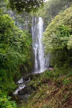 Maui Waterfall. Stock Photos