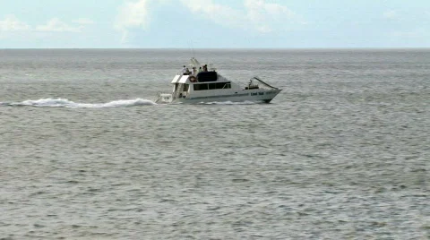 Maui whale watching boat in ocean HD Stock Footage