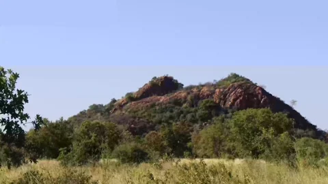 MAUMAU MUGWANGO HILL Stock Footage 314973142