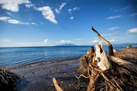 Maumere Stock Photos