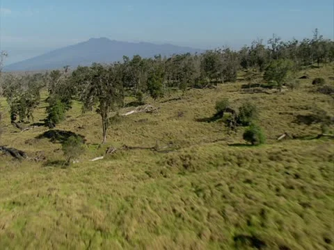 Mauna Kea Stock-Footage 22243633