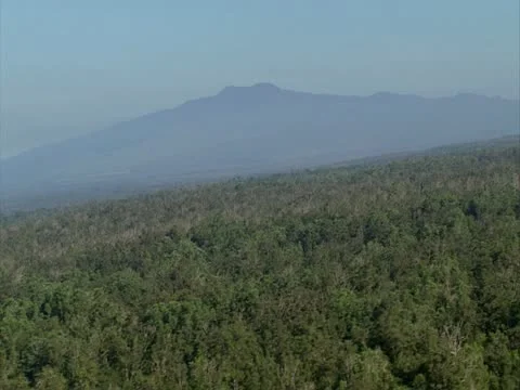 Mauna Kea Stock-Footage 22244519