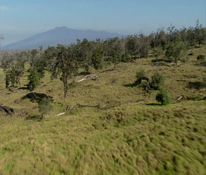 Mauna Kea Video stock 22734092