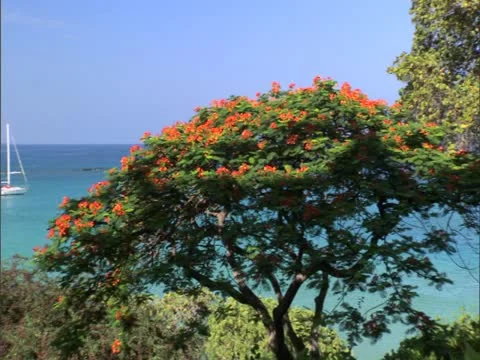 Mauna Kea Resort Beach Stock-Footage 22242874