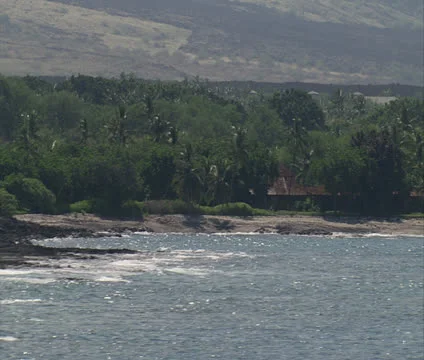 Mauna Lani Resort Video stock 22748088