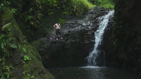 Maunawili falls dive 動画素材 8446705