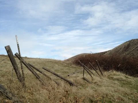 Maupin in Winter 스톡 사진