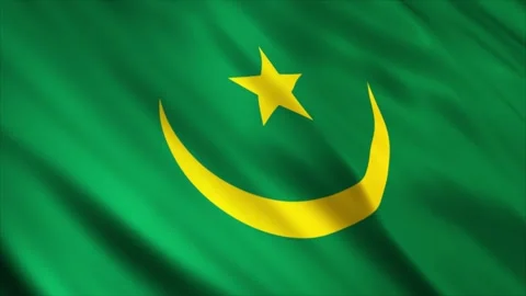 Mauritania Flag Stock Footage 249033068