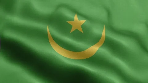 Mauritania flag Front Stock Footage 318667021