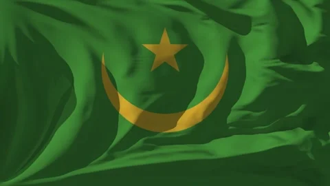 Mauritania Flag Loop Stock Footage 295748783
