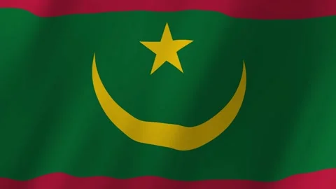 Mauritania flag waving animation 스톡 동영상 221661696