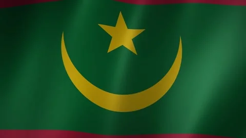 Mauritania flag waving in the wind Stock-Footage 348687152