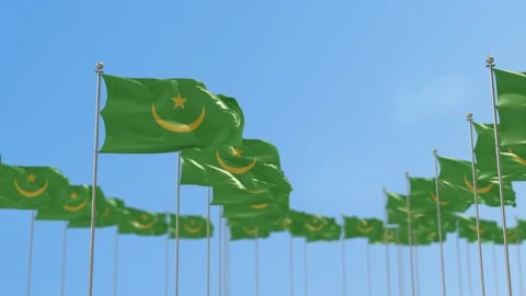 Mauritania Row Of Flags 3D Animation Видео 148724277