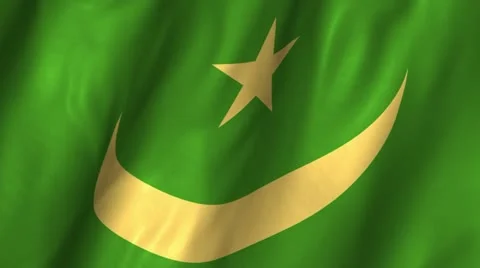 Mauritania Waving Flag Stock Footage 12310153