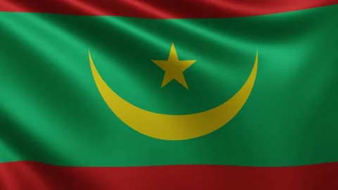 The Mauritanian flag flutters close-up in the wind, video of the national flag Stock Footage 219581072