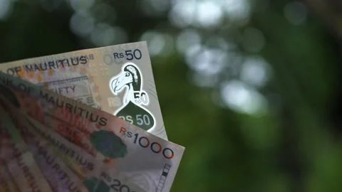Mauritian rupee with the image of the extinct DODO bird Stock Footage 185639296