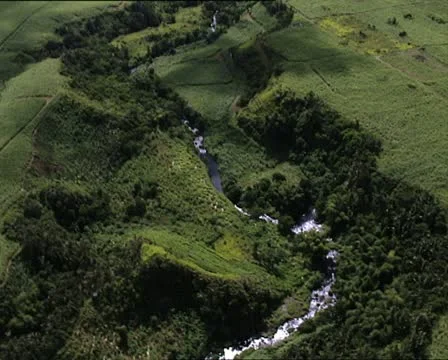 MAURITIUS aerial view of fields and mountains 動画素材 18991605