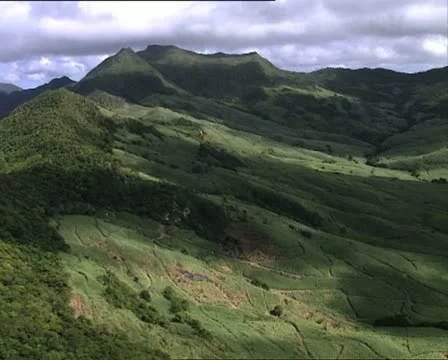 MAURITIUS aerial view of fields Stock-Footage 18986945