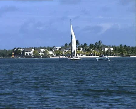 MAURITIUS deer island view Video stock 19656543