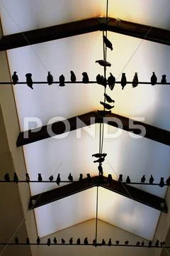 MAURIZIO CATTELAN The Others, 2011 - Installation Stock Photos