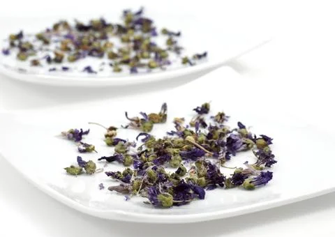 MAUVE SECHEE Stock Photos