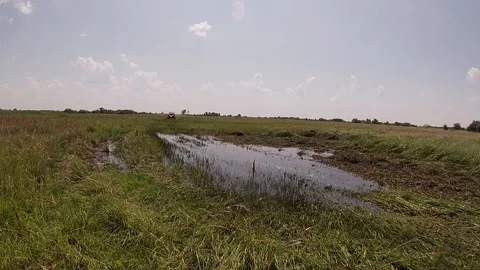 Maverick X3 (red) driving through the puddle in the meadow Stock Footage 159353261