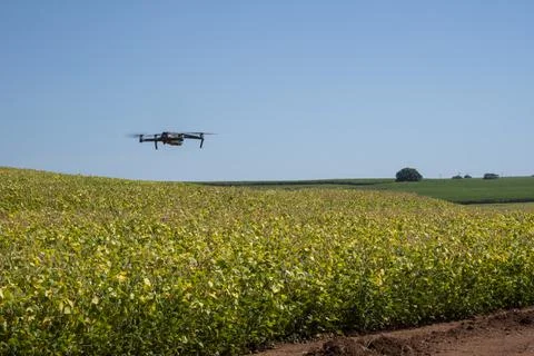 Mavic 2 pro flying over soybean plantation on a sunny morning in Brazil, Marc Stock Photos