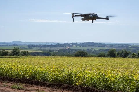 Mavic 2 pro flying over soybean plantation on a sunny morning in Brazil, Marc Stock Photos