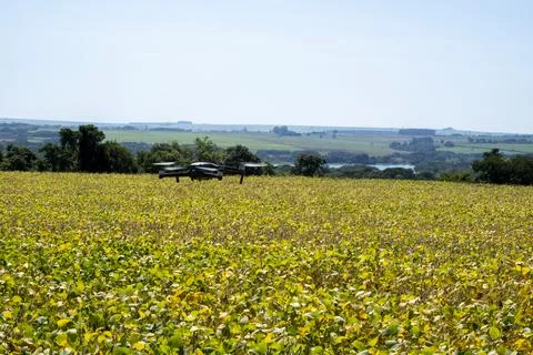 Mavic 2 pro flying over soybean plantation on a sunny morning in Brazil, Marc Stock Photos