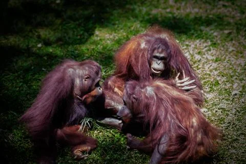 MAX 0322 Stock Photos